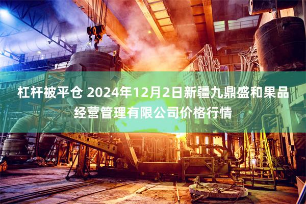 杠杆被平仓 2024年12月2日新疆九鼎盛和果品经营管理有限公司价格行情