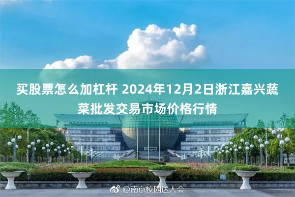 买股票怎么加杠杆 2024年12月2日浙江嘉兴蔬菜批发交易市场价格行情