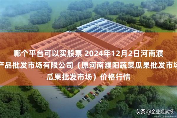 哪个平台可以买股票 2024年12月2日河南濮阳宏进农副产品批发市场有限公司（原河南濮阳蔬菜瓜果批发市场）价格行情