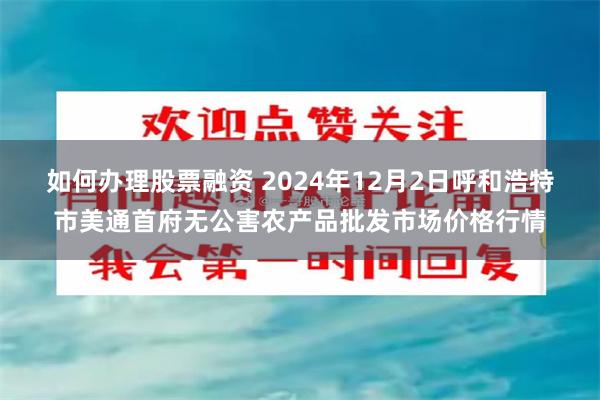 如何办理股票融资 2024年12月2日呼和浩特市美通首府无公害农产品批发市场价格行情