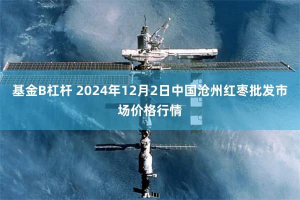 基金B杠杆 2024年12月2日中国沧州红枣批发市场价格行情