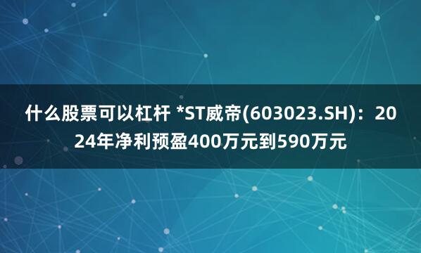 什么股票可以杠杆 *ST威帝(603023.SH)：2024年净利预盈400万元到590万元