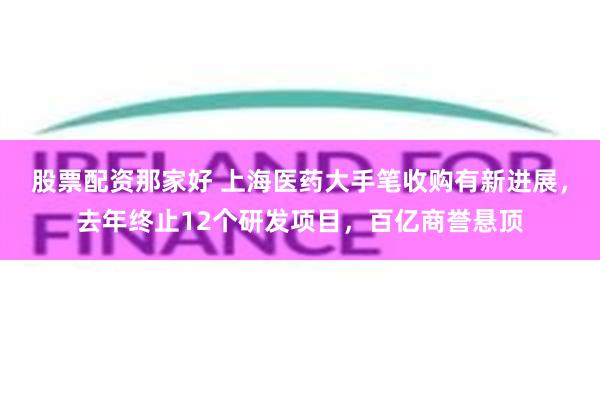 股票配资那家好 上海医药大手笔收购有新进展，去年终止12个研发项目，百亿商誉悬顶